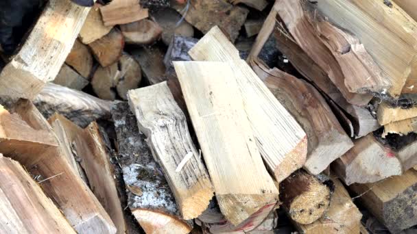Un homme arrangeant les petits bois de chauffage coupés en Estonie — Video