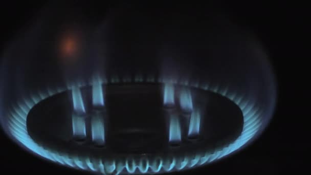 Modrý plamen z ohně na plynovém sporáku. Zvyšující se ceny energie. close-up. — Stock video