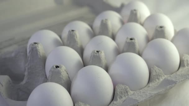 Obtendo os ovos brancos um por um da bandeja de ovo. Close-up — Vídeo de Stock