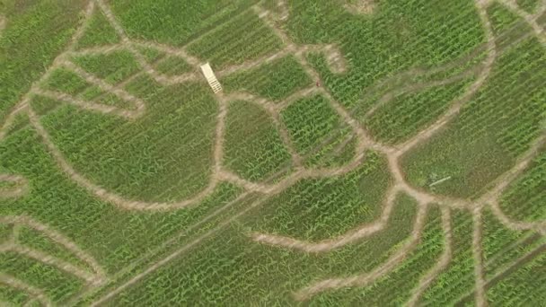 Aerial shot of beautiful drawings on a field in Estonia. — Stock Video