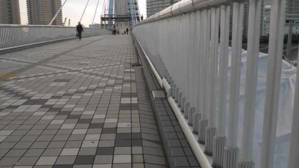 De balustrades van de lange brug in de stad Tokio in Japan — Stockvideo