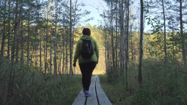 Kobieta podróżnik chodzący po drewnianych deskach w leśnictwie.geologia strzał. — Wideo stockowe