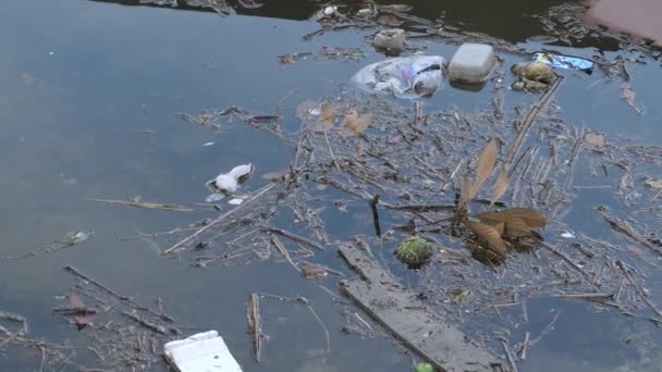 Het vuilnis afval op het stadskanaal in Tokyo Japan — Stockvideo