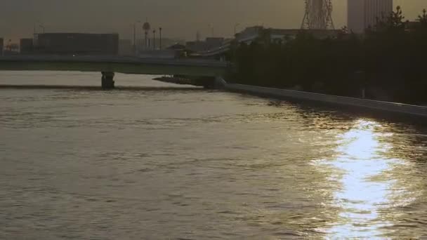 Een zonsondergang uitzicht op de stad van Tokio in Japan — Stockvideo