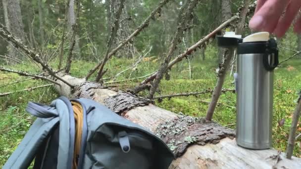 Fantastisk bild av en fallen torkad gran och en termos och en vandringspåse. — Stockvideo