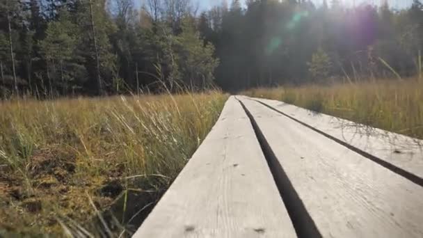 Der nähere Blick auf die Holzbretter auf den Waldwegen. — Stockvideo