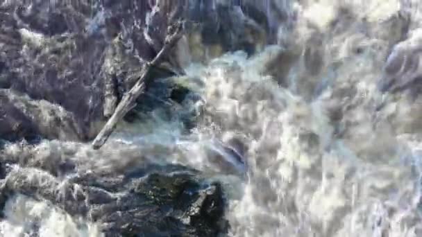 Ειδυλλιακή εναέρια λήψη ενός γρήγορου ποταμού που ρέει μεταξύ βράχων και κορμών. — Αρχείο Βίντεο