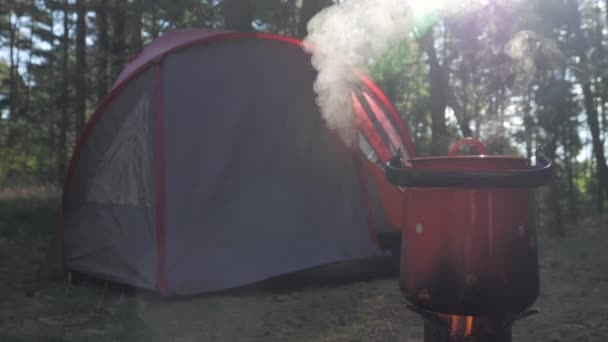 Vista do local de acampamento na floresta . — Vídeo de Stock