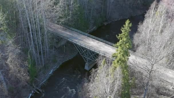 Awesome drone shot of a river in a forest with a bridge crossing it. — стоковое видео