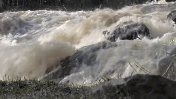Detailní záběr travnaté skály na břehu řeky, kolem které teče rychlá řeka. — Stock video