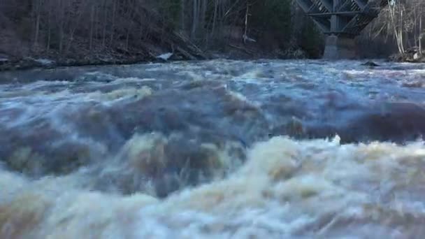 Closeup drone záběr na rychlou řeku obklopený lesem za slunečného dne. — Stock video