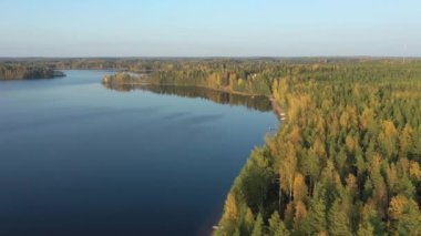 Finlandiya 'da Saimaa Gölü' nün kenarındaki yeşil ağaçlar çizgisi..
