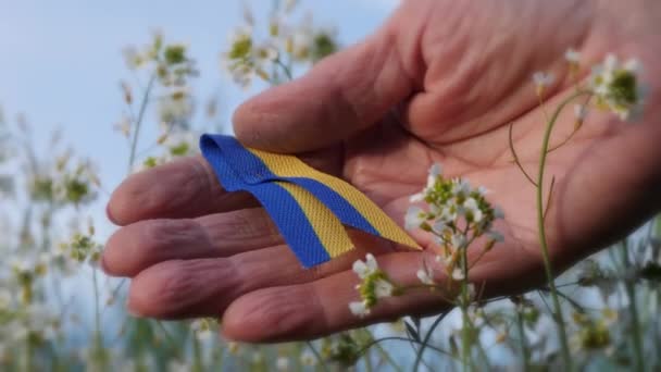 Foto Perto Alguém Segurando Emblema Ucraniano Natureza Verdura Plantas Flores — Vídeo de Stock