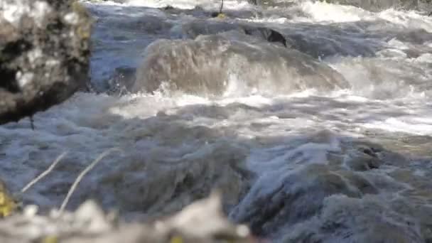 Close Tiro Corredeiras Mostrando Água Que Flui Rápido Geologia Filmada — Vídeo de Stock