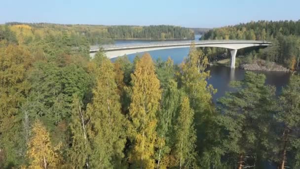 Nähere Betrachtung Der Bäume Ufer Des Saimaa Sees Finnland Der — Stockvideo