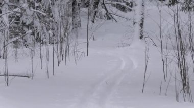Ski track in a snow covered scandinavian forest during wintertime. Beautiful nordic nature. Camera slowly zooming out.
