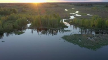 The green trees on the side of the bogland in Ao Estonia as seen on an aerial view .geology shot