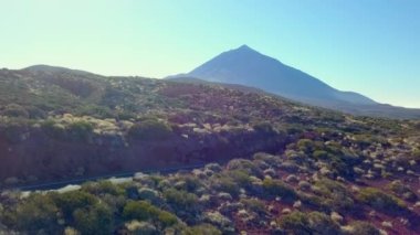 Landscape view of the El Teide volcano in Tenerife Spain with the trees on the mountains on a sunset afternoon.geology shot