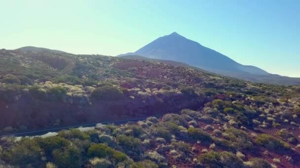 Вид Вулкан Эль Тейде Испанском Тенерифе Деревьями Горах Закате Днем — стоковое видео