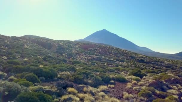 Green Grasses Mountains Teidi Volcano Tenerife Spain Blue Sky Sunset – Stock-video