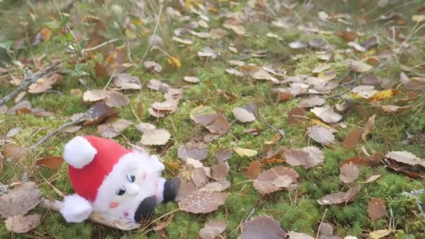 View Small Red Gnome Stuff Toy Forest Ground Rovaniemi Finland — Video Stock