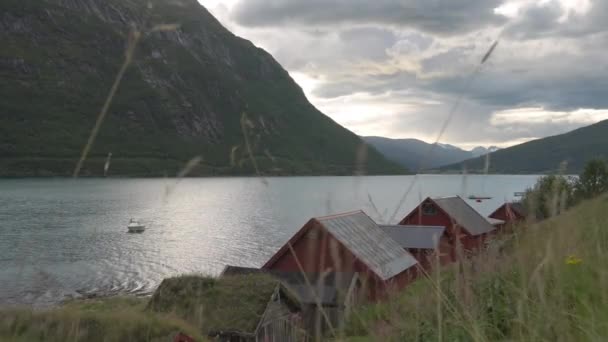 View Moss Roof Indigenous People Living Side Fjord Norway Lots — Video Stock