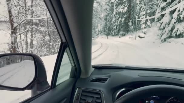 View Car While Driving Snowy Forest Looking Beautiful Nature Trees — 图库视频影像