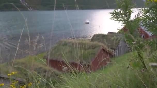 Landscape View Terrain Fjord Norway Moss Roof Side Habitat Indigenous — Vídeos de Stock