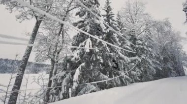 View from a car while driving in a snowy forest. Nordic winter wonderland. Pretty scandinavian nature. Trees and the road covered by thick snow. Camera slowly moving around.