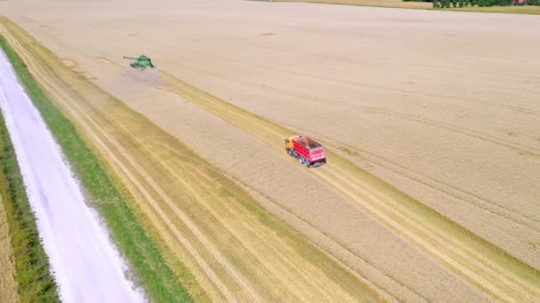 Rakke Estonia August 2020 Aerial View Red Truck Harvester Estonia — Video Stock