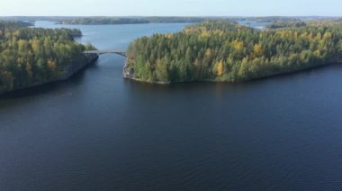The island of trees on the side of the bridge in Lake Saimaa in Finland. Near the Russian-Finnish border.geology video.4k