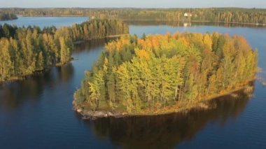 Aerial view of the trees in the islands in Lake Saimaa in Finland.Near the Russian-Finnish border.geology video.4k