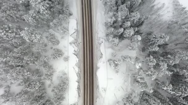 フィンランドの降雪時の道路の美しいドローンの視点 ドローンで撮影された空中地質はゆっくりと前進します — ストック動画