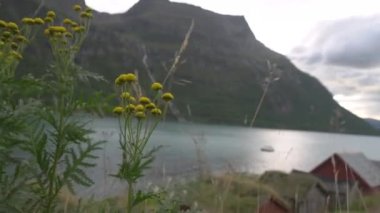 Norveç 'teki fiyort suyunun peyzaj manzarası, üzerinde gemi geziniyor.