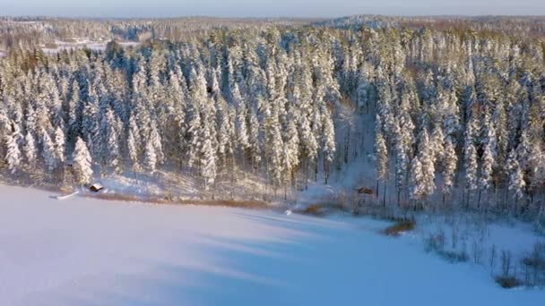 凍った湖とその周囲の雪の森の美しい空中撮影 北欧の美しい冬を示しています フィンランドだ ドローンで撮影された空中地質は横に動く — ストック動画