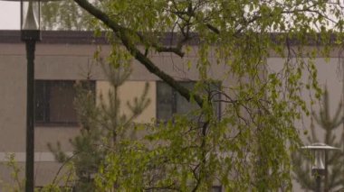 Helsinki. Finlandiya-1 Haziran 2022: Helsinki Finlandiya 'da sağanak yağış sırasında yakın çekim. Şehirdeki yeşillik. Şehir yerleşim bölgesi. Bahar ve yaz. Doğa. Paneldeki ev. Kamera yakınlaştırılıyor.