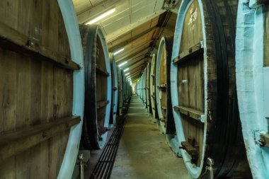 Kırım Yarımadası. 16 Temmuz 2021. Sudak kasabası yakınlarındaki Sunny Valley fabrikasının yeraltı mahzenlerinde şarap üretimi için büyük şarap fıçıları..