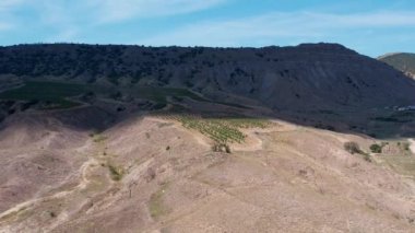 Güneş Vadisi 'nin şaraphanesinin üzüm bağları kuşbakışı görülebiliyor..