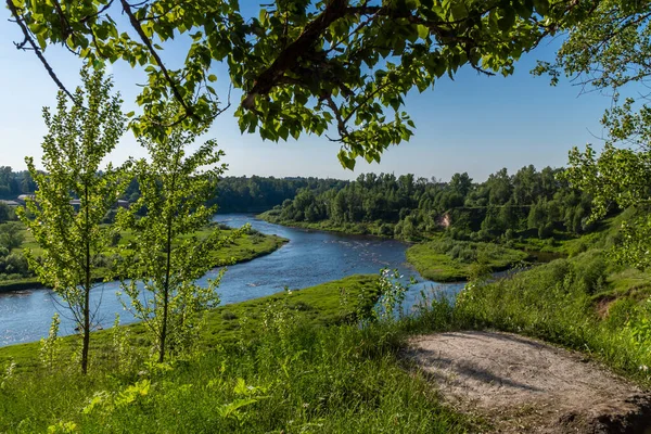 Rusland Juni 2021 Novgorod Regio Pittoresk Uitzicht Msta Rivier Buurt — Stockfoto