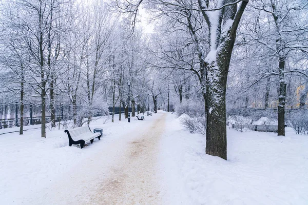 Rusia. Kronstadt, 12 de enero de 2022. Pintoresca vista de invierno en el parque a lo largo del canal de circunvalación de Kronstadt. —  Fotos de Stock