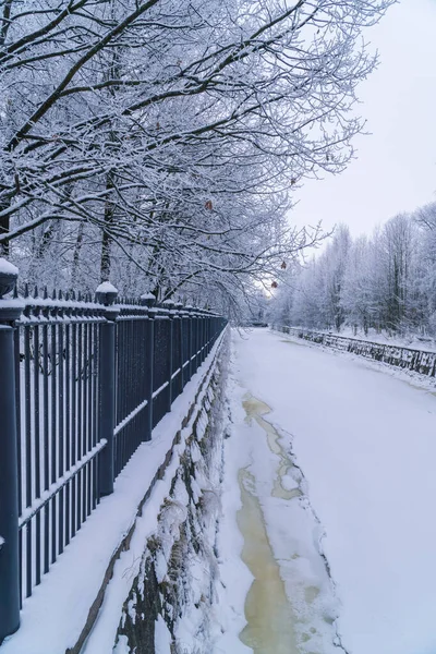 Rusia Kronstadt Enero 2022 Una Pintoresca Vista Invernal Clima Helado —  Fotos de Stock