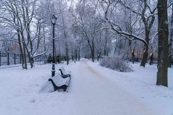 Rusia Kronstadt Enero 2022 Una Pintoresca Vista Invierno Del Parque —  Fotos de Stock
