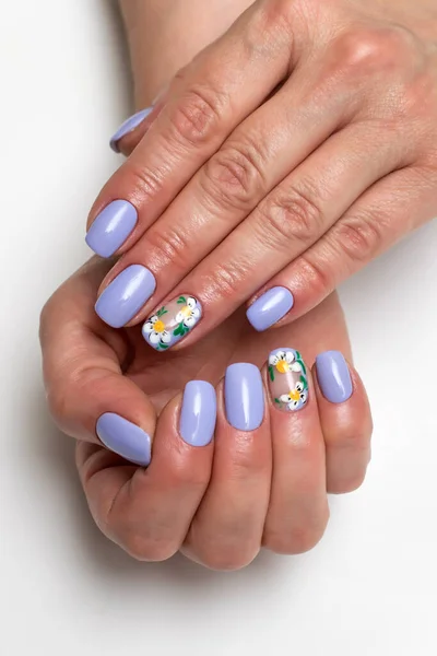 Paars Lila Manicure Met Geschilderde Madeliefjes Korte Vierkante Nagels — Stockfoto