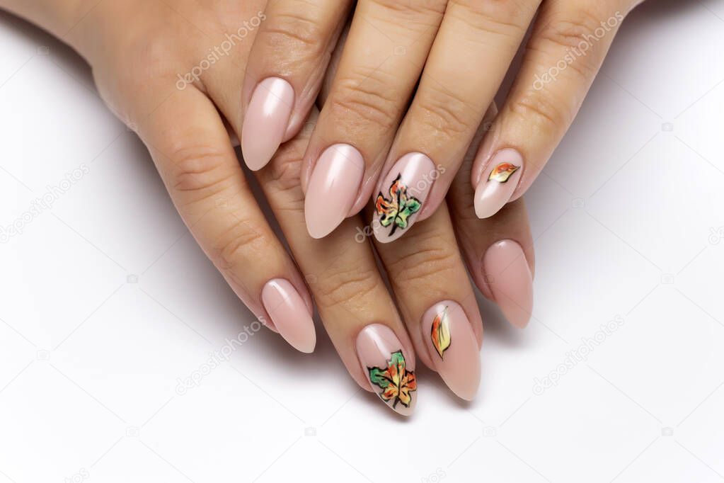 Autumn gel nail design. Nude manicure with painted maple leaves on long almond, oval nails close-up on a white background.