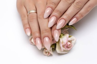 Beyaz manikür beyaz ombre, uzun keskin tırnaklarla beyaz arka planda çiçekleri tutuyor..