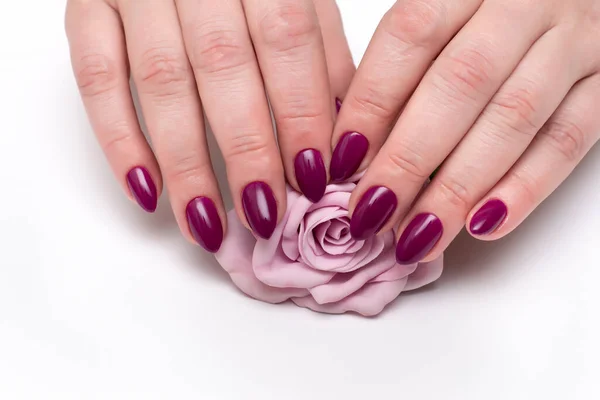 Melanzana Manicure Viola Scuro Piccole Unghie Affilate Primo Piano Uno — Foto Stock