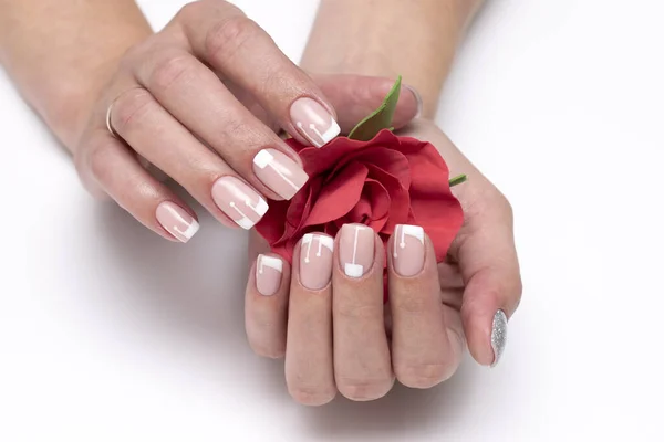 Manicure Francese Nuziale Con Una Rosa Rossa Mani Unghie Quadrate Immagine Stock