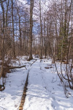 Doğa yolu Tatra Doğa Sergisi - Tatransk Lomnica Botanik Bahçesi 'nde başlayan yaklaşık 3,5 kilometrelik yürüyüş pistinin bir parçasıdır.
