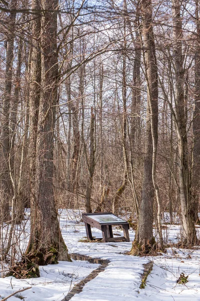 Naturstigen Del Den Nästan Kilometer Långa Vandringskretsen Som Börjar Utställningen — Stockfoto