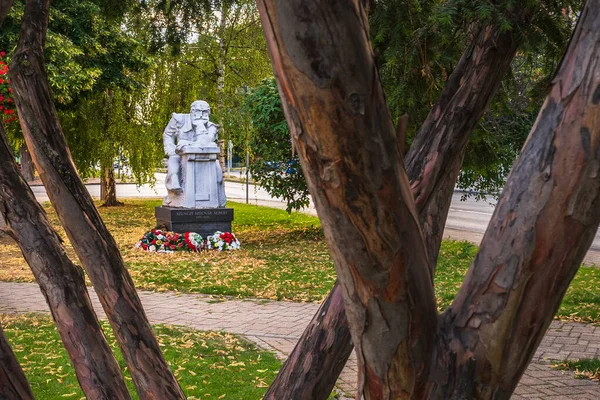 Slovakya Nın Senec Kentinde Szenci Molnar Albert Heykeli Telifsiz Stok Fotoğraflar